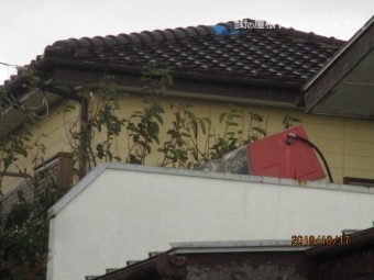 台風被害