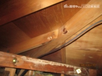 台風被害