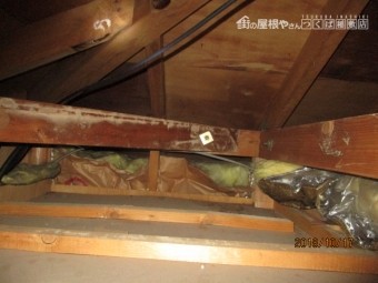 台風被害