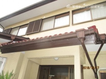 雨樋被害