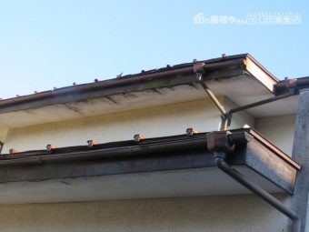 軒天工事