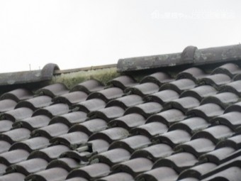 台風被害