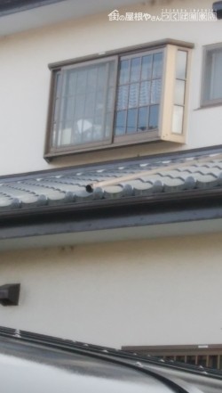 はいといひがい1