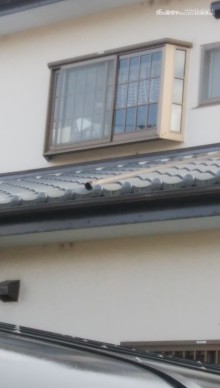 這い樋1