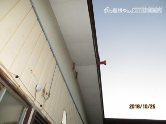 台風被害