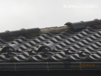 台風被害