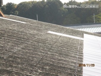 台風被害m