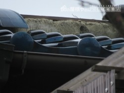 台風被害