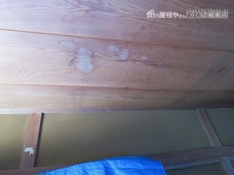 天井の張替工事