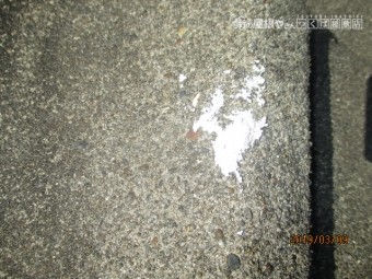 台風被害