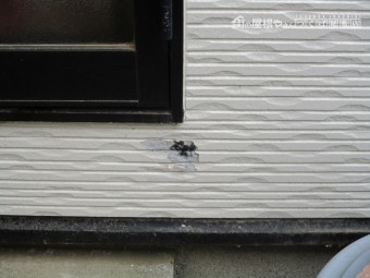 塗装工事