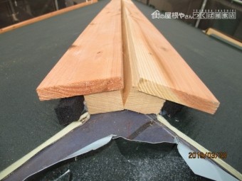 IMG_2597-columns2-overlay