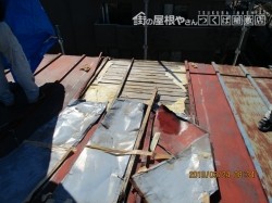 台風被害