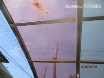 台風被害