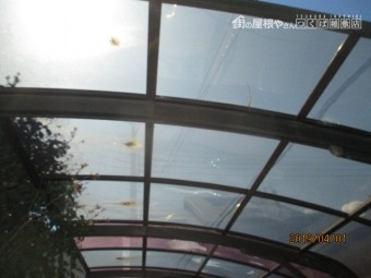 台風被害