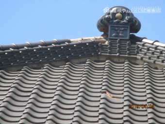 棟瓦・桟瓦・饅頭瓦被害