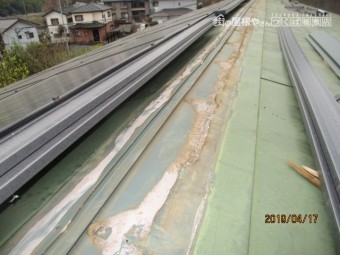 棟板金交換工事