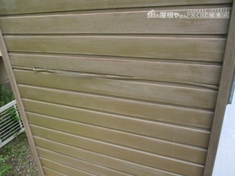 木部の異常