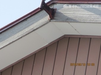 雀駆除