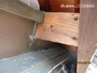 雨水進入