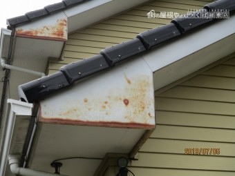 塩害被害