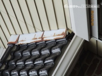 塩害被害