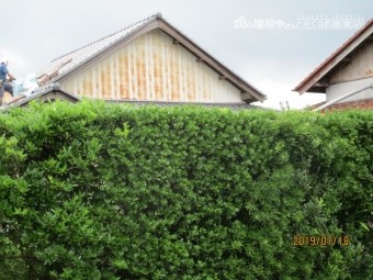 波板交換工事