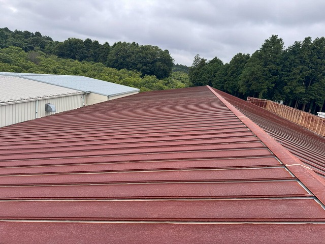 茨城町の瓦棒葺き屋根の工場での屋根塗装の実施前状況、全体にサビが拡大
