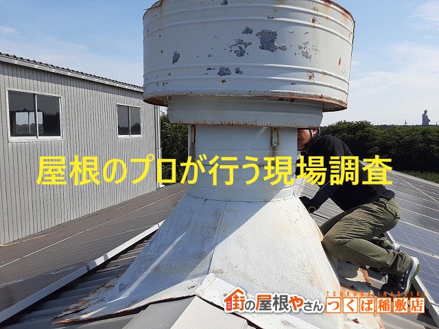 鉾田市でコケやカビが発生したコロニアル屋根から雨漏！現場調査のご依頼
