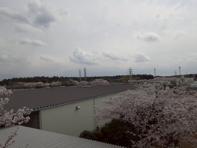 かすみがうら市の工場建物にて雨樋調査、折半屋根に堆積物や勾配不良などの問題点を確認