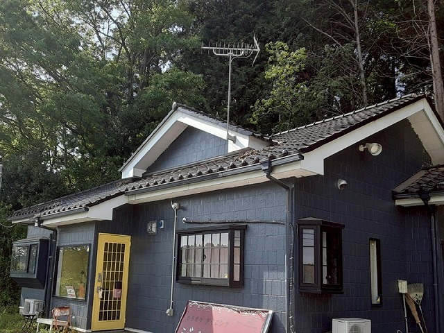 石岡市の店舗建物で屋根修理のための現場調査、倒木で破損した瓦屋根の状況確認