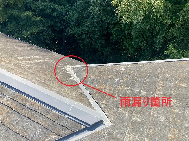 屋根上から雨漏り箇所の特定