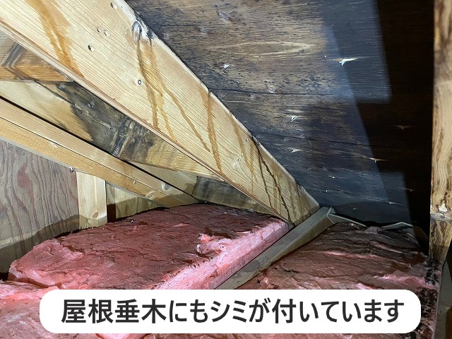 小屋裏の屋根垂木にもシミが付いています