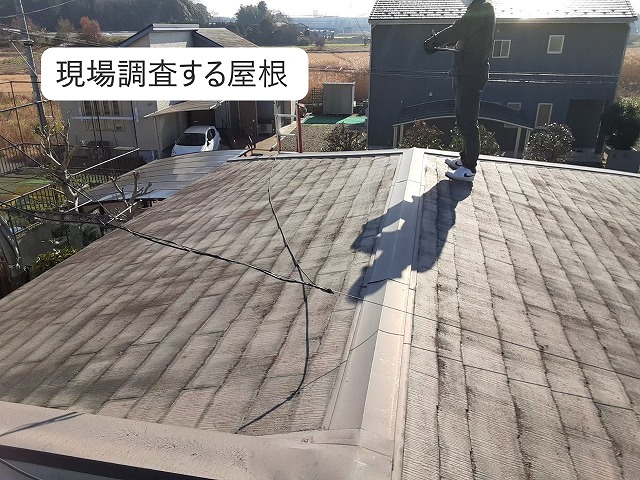 現場調査する屋根