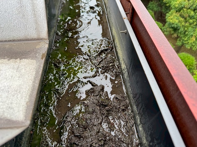 工場建物の雨樋の内部にたまっている土砂