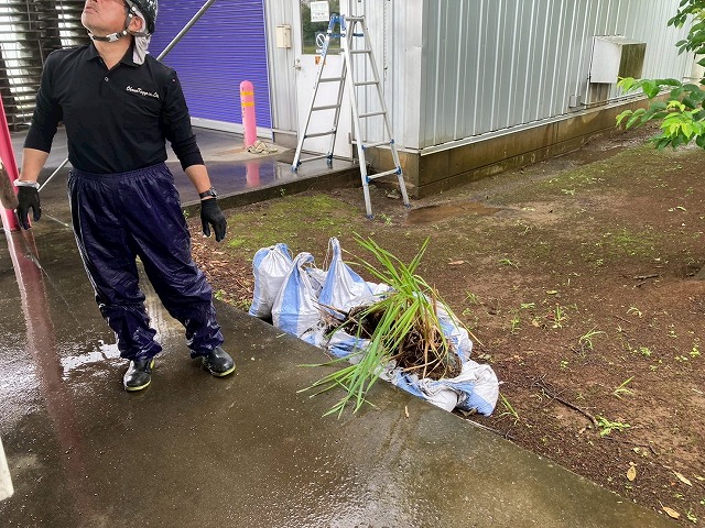 工場建物の雨樋清掃メンテナンスで発生したゴミを降ろしている状況