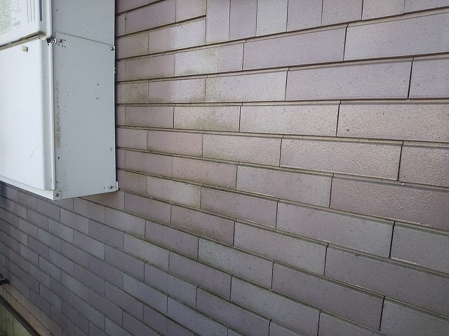 アパート建物のタイル外壁に汚れや苔などが付着している様子