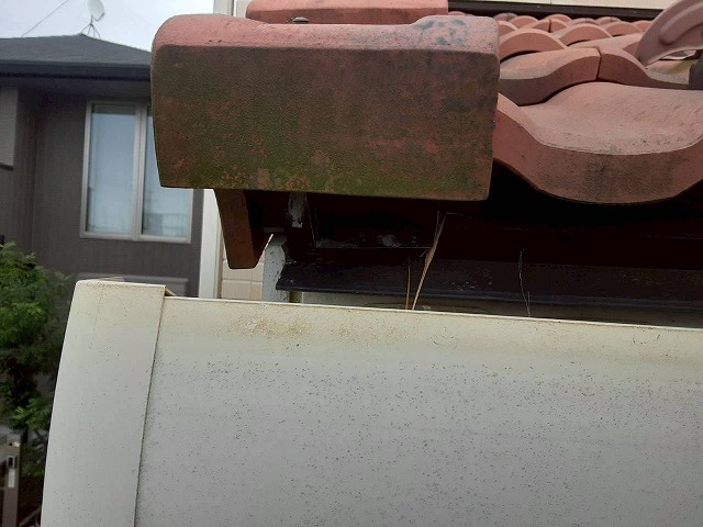 住宅のケラバ部捨て水切りの隙間にスズメの巣を確認