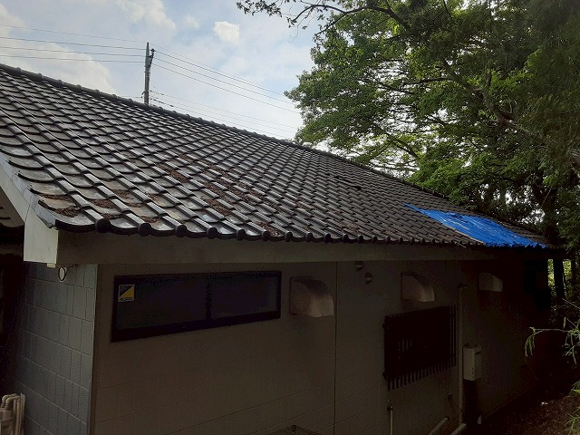 倒木の影響で割れた瓦屋根の部分的な葺き直しを行う店舗建物