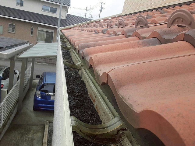 住宅の雨樋に巣材や土砂が流れ込んでたまっている様子
