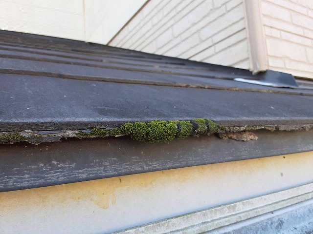 住宅の現場調査で下屋根に苔の発生を確認