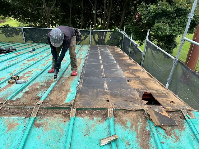 瓦棒葺き屋根の金属板を撤去し下地のルーフィングが露出した状況