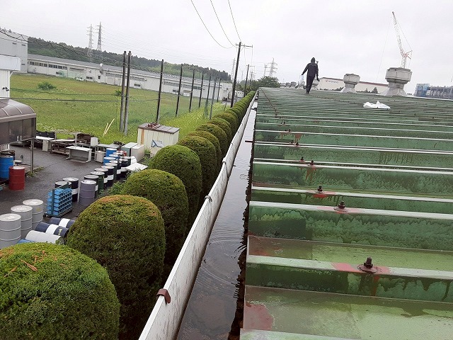 かすみがうら市の大型工場で行った雨樋清掃で発生したゴミの搬出と外壁への高圧洗浄