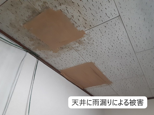 天井に雨もりによる被害