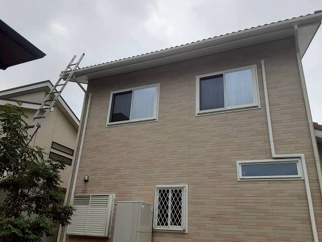 鳥の巣の撤去と防鳥ネットの設置を行うための現場調査の様子