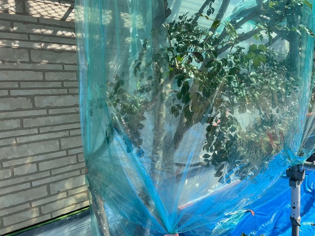 サイディング外壁塗装工事の植栽に対する養生作業