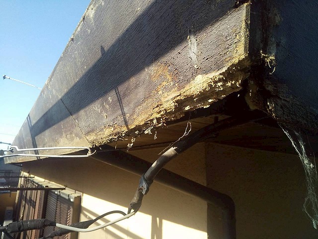 雨樋交換工事で樋隠しの板金を剥がした後の下地材の劣化状況