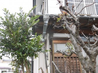 行方1