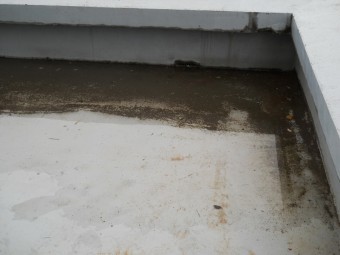 ベランダに溜まった雨水