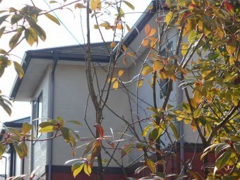 屋根葺き替え工事